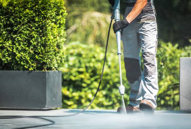 Best Animal Enclosure Cleaning  in Dunedin, FL