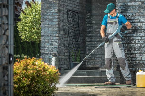 Best Graffiti Removal  in Dunedin, FL