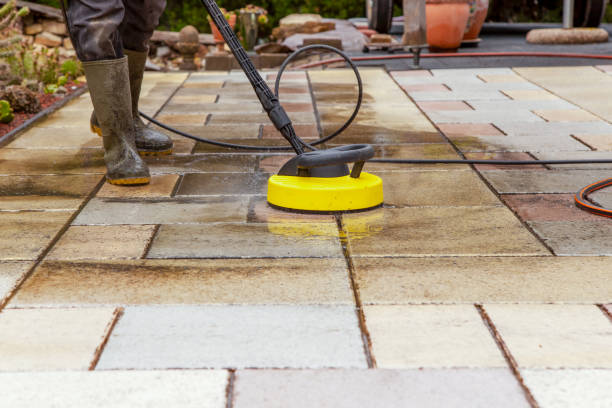 Best Gutter Cleaning  in Dunedin, FL