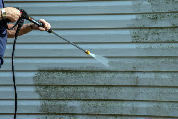 Best Solar Panel Cleaning  in Dunedin, FL