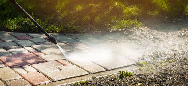 Best Gutter Cleaning  in Dunedin, FL