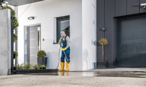 Best Sidewalk and Walkway Cleaning  in Dunedin, FL